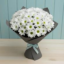 Букет цветов из:  Хризантемы #REPLACE_PRED# Слободе Воронежской области