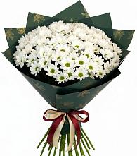 Букет цветов из:  Хризантемы #REPLACE_PRED# Слободе Воронежской области