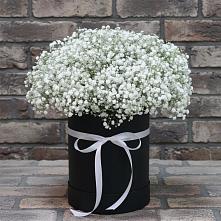 Цветочная композиция из Гипсофила в шляпной коробке в Слободе Воронежской области
