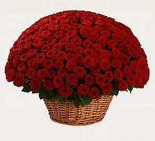 Премиум букет из: Розы в Слободе Воронежской области